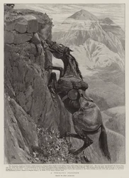 Eine gefährliche Position